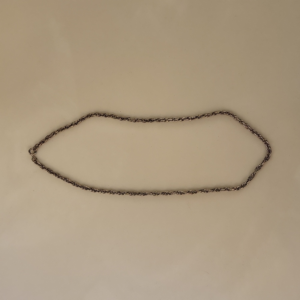 Anthropologie The Collector's Charm thick silver tone necklace 18"